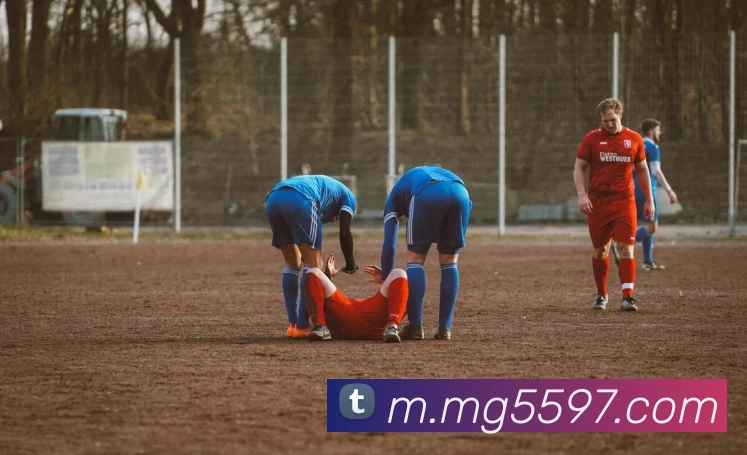 MG娱乐平台官网发展历程